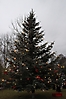 Weihnachtsbaum aufstellen 2011_13