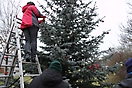 Weihnachtsbaum aufstellen 2011_5