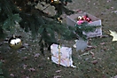 Weihnachtsbaum aufstellen 2012_22