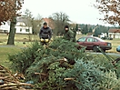 Weihnachtsbaum verbrennen 2009_1