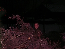2010