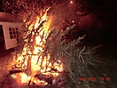 Weihnachtsbaum verbrennen 2012_14