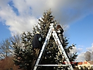 Weihnachtsbaum verbrennen 2012_3