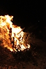 Weihnachtsbaum verbrennen 2013_6