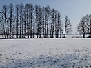 Fotowettbewerb 2012_29