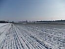 Fotowettbewerb 2012_34
