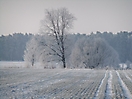 Fotowettbewerb 2012_43