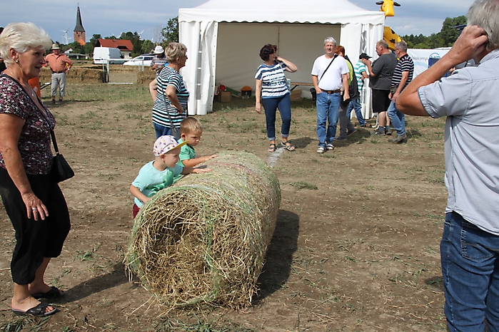 Bauernfest 2018_54